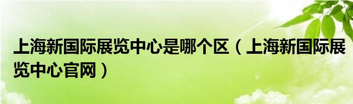 上海新国际展览中心是哪个区（上海新国际展览中心官网）