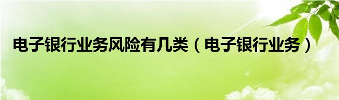 电子银行业务风险有几类（电子银行业务）