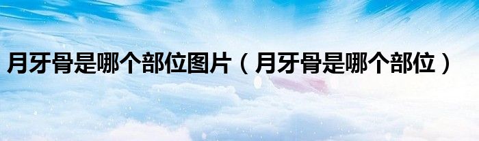 月牙骨是哪个部位图片（月牙骨是哪个部位）