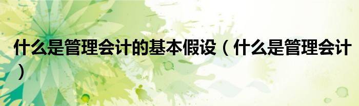 什么是管理会计的基本假设（什么是管理会计）
