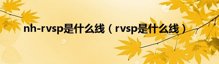 nh-rvsp是什么线（rvsp是什么线）