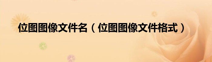 位图图像文件名（位图图像文件格式）