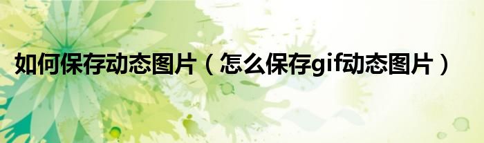 如何保存动态图片（怎么保存gif动态图片）