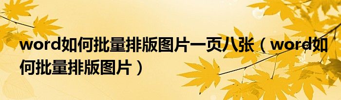 word如何批量排版图片一页八张（word如何批量排版图片）