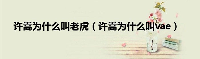 许嵩为什么叫老虎（许嵩为什么叫vae）