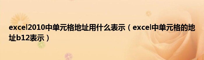 excel2010中单元格地址用什么表示（excel中单元格的地址b12表示）