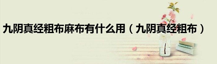 九阴真经粗布麻布有什么用（九阴真经粗布）