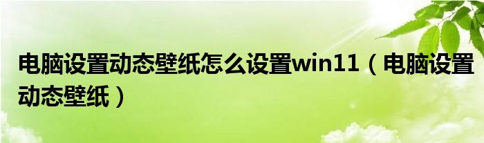 电脑设置动态壁纸怎么设置win11（电脑设置动态壁纸）