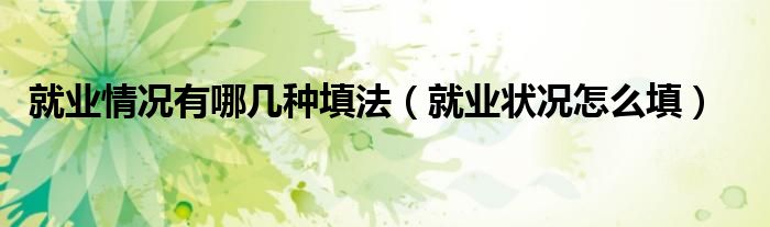 就业情况有哪几种填法（就业状况怎么填）