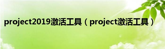 project2019激活工具（project激活工具）