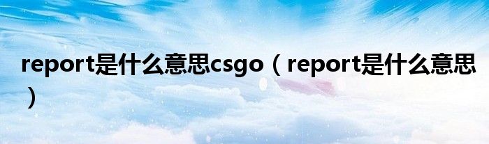 report是什么意思csgo（report是什么意思）