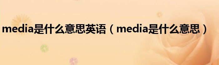 media是什么意思英语（media是什么意思）
