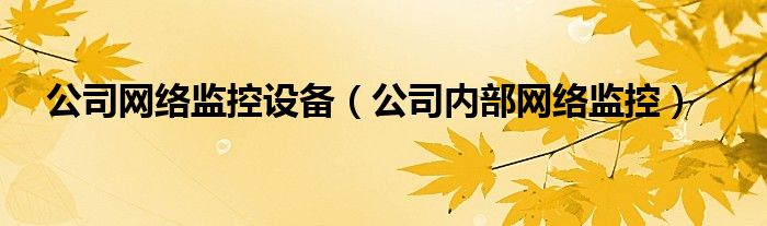 公司网络监控设备（公司内部网络监控）