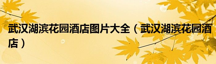武汉湖滨花园酒店图片大全（武汉湖滨花园酒店）