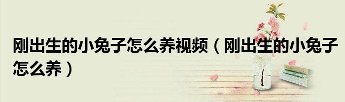 刚出生的小兔子怎么养视频（刚出生的小兔子怎么养）