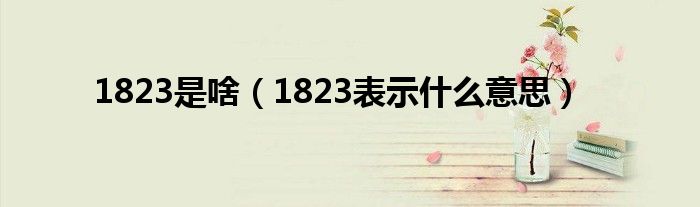 1823是啥（1823表示什么意思）