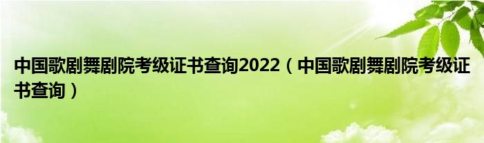 中国歌剧舞剧院考级证书查询2022（中国歌剧舞剧院考级证书查询）
