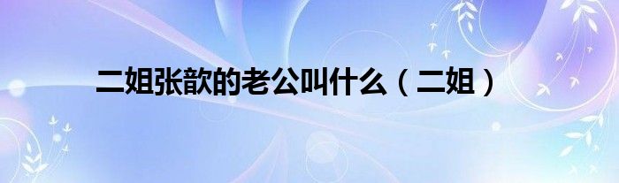 二姐张歆的老公叫什么（二姐）