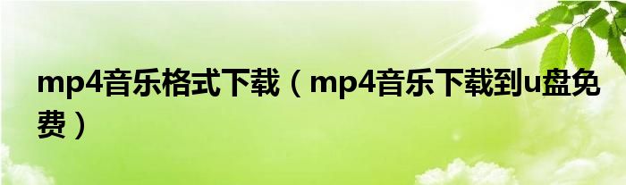 mp4音乐格式下载（mp4音乐下载到u盘免费）