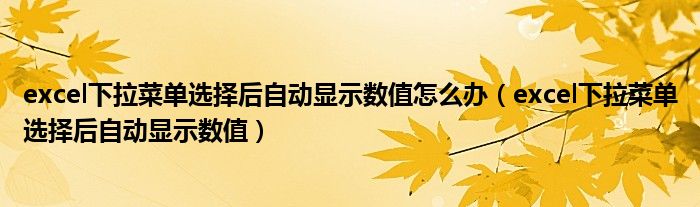excel下拉菜单选择后自动显示数值怎么办（excel下拉菜单选择后自动显示数值）