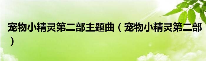 宠物小精灵第二部主题曲（宠物小精灵第二部）