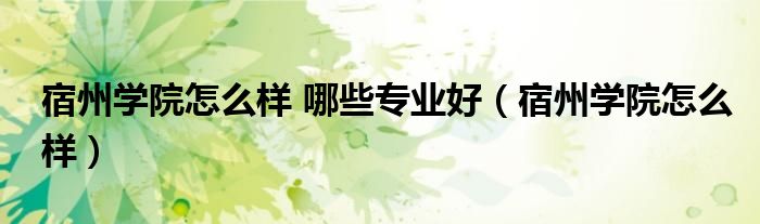 宿州学院怎么样 哪些专业好（宿州学院怎么样）