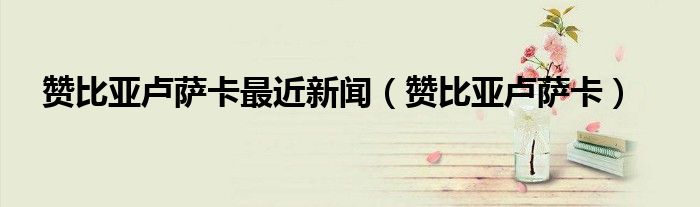 赞比亚卢萨卡最近新闻（赞比亚卢萨卡）