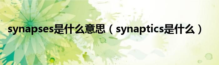 synapses是什么意思（synaptics是什么）