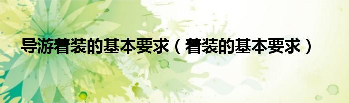 导游着装的基本要求（着装的基本要求）