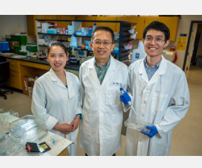 MCG科学家确定了导致失明的主要原因的新治疗目标