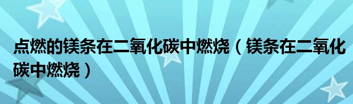 点燃的镁条在二氧化碳中燃烧（镁条在二氧化碳中燃烧）