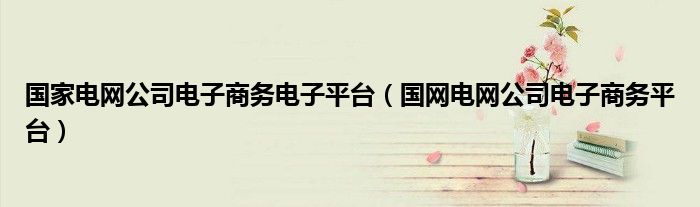 国家电网公司电子商务电子平台（国网电网公司电子商务平台）
