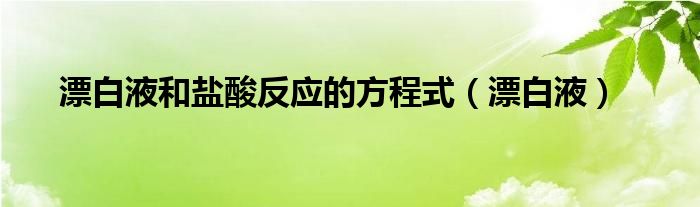 漂白液和盐酸反应的方程式（漂白液）