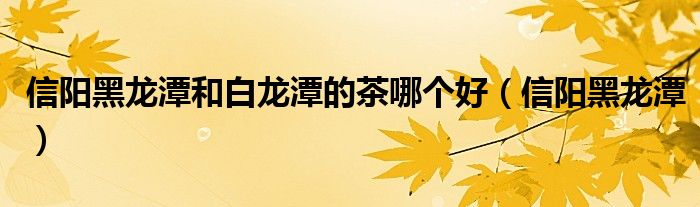 信阳黑龙潭和白龙潭的茶哪个好（信阳黑龙潭）