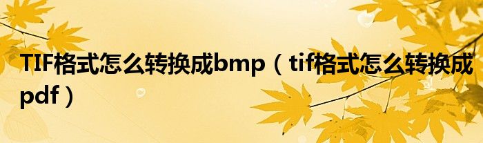 TIF格式怎么转换成bmp（tif格式怎么转换成pdf）