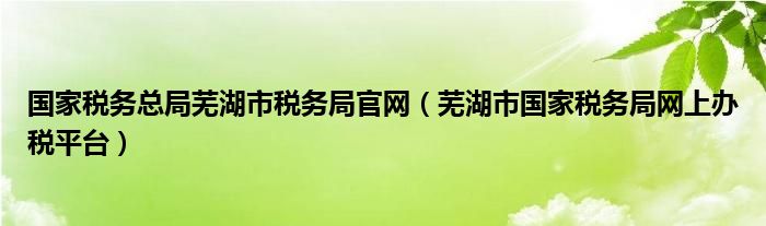 国家税务总局芜湖市税务局官网（芜湖市国家税务局网上办税平台）