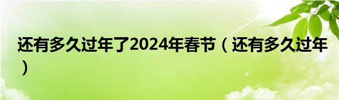 还有多久过年了2024年春节（还有多久过年）