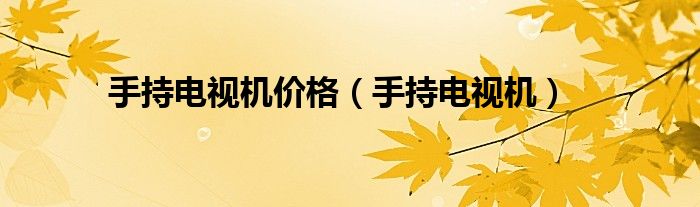 手持电视机价格（手持电视机）