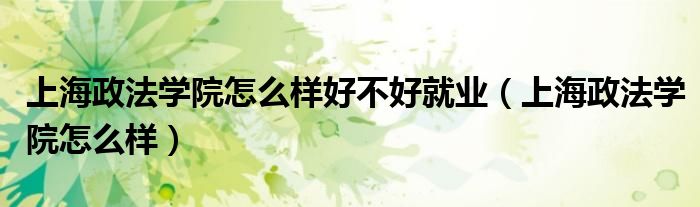 上海政法学院怎么样好不好就业（上海政法学院怎么样）