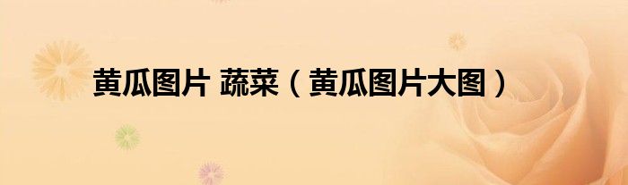 黄瓜图片 蔬菜（黄瓜图片大图）