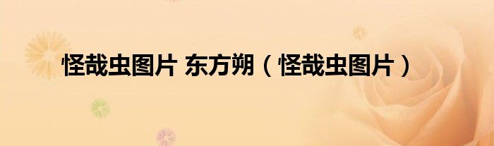 怪哉虫图片 东方朔（怪哉虫图片）