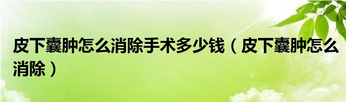皮下囊肿怎么消除手术多少钱（皮下囊肿怎么消除）