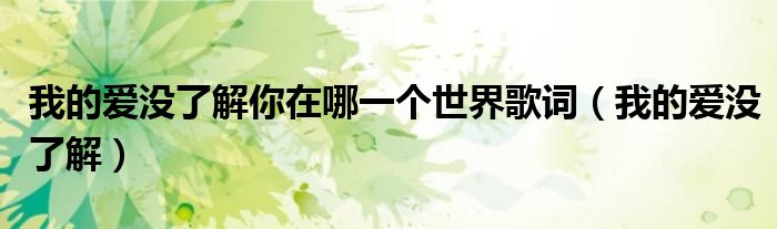 我的爱没了解你在哪一个世界歌词（我的爱没了解）
