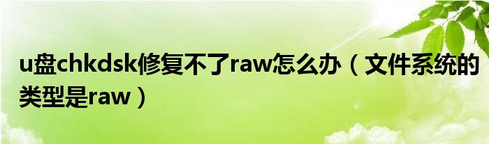 u盘chkdsk修复不了raw怎么办（文件系统的类型是raw）