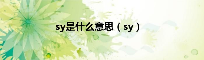 sy是什么意思（sy）