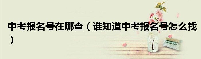 中考报名号在哪查（谁知道中考报名号怎么找）