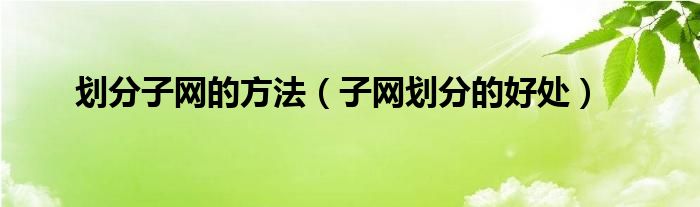 划分子网的方法（子网划分的好处）