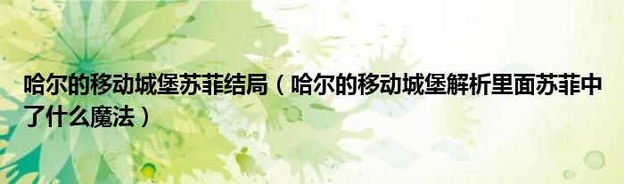 哈尔的移动城堡苏菲结局（哈尔的移动城堡解析里面苏菲中了什么魔法）