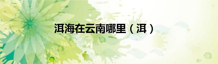 洱海在云南哪里（洱）