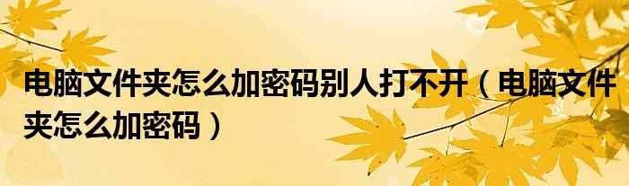 电脑文件夹怎么加密码别人打不开（电脑文件夹怎么加密码）